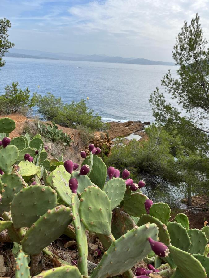 Apartament La Ciotat Vieux Port 2 Zewnętrze zdjęcie